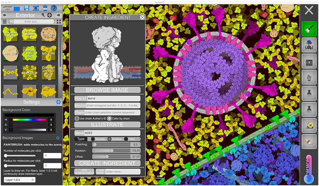 CellPAINT 2.0 interface showing the Create Ingredient panel and a SARS-CoV-2 scene with spike proteins, membrane proteins, and surrounding blood plasma