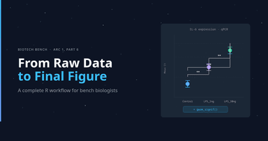 From raw data to final figure: a complete R workflow for bench biologists