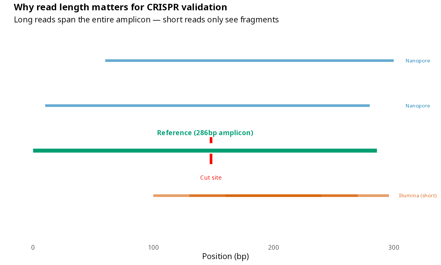 Why read length matters — long reads span the full amplicon while short reads only see fragments