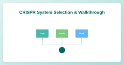 Choosing your CRISPR system and designing validated guides: an end-to-end walkthrough