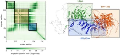 AlphaFold3: how it works, and how to use it to predict your protein structure