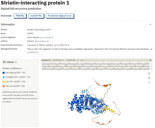 Protein structure coloured by pLDDT confidence scores in the AlphaFold Database viewer
