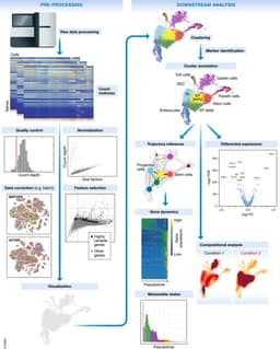 What is single-cell RNA sequencing? A guide for bench biologists