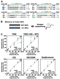 Sanger + TIDE/ICE: quantifying CRISPR editing without NGS