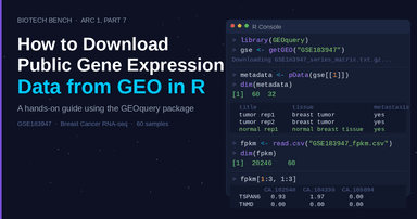 How to download public gene expression datasets from GEO in R
