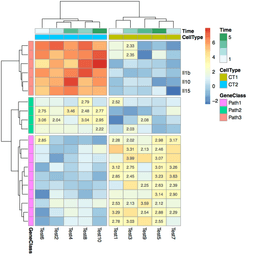 How to make a gene expression heatmap in R (that actually looks good)