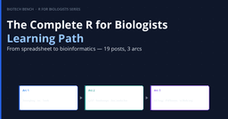The complete R for biologists learning path: from spreadsheet to bioinformatics