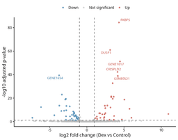 Volcano plots and MA plots: visualizing RNA-seq results in R