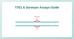 T7E1 and Surveyor assays: how they work, their limits, and how to interpret results