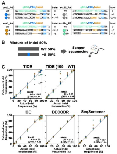 Sanger + TIDE/ICE: quantifying CRISPR editing without NGS