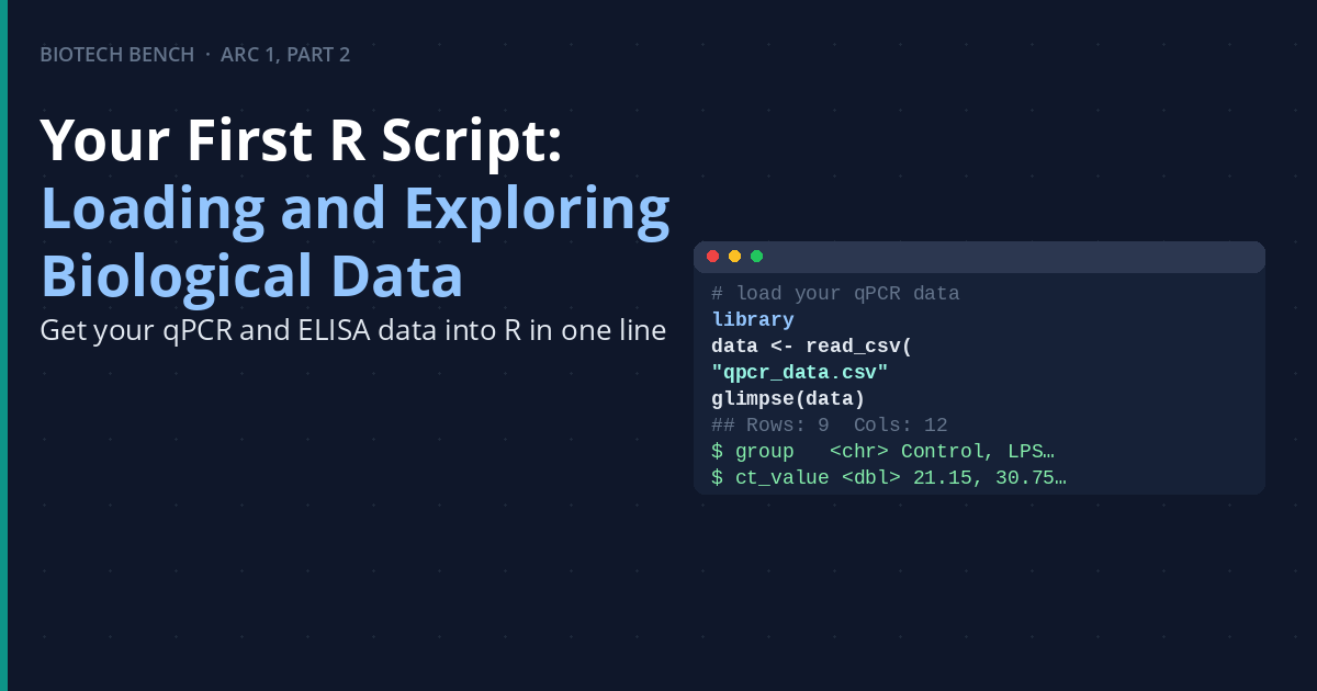 Your First R Script: Loading and Exploring Biological Data | BioTech Bench