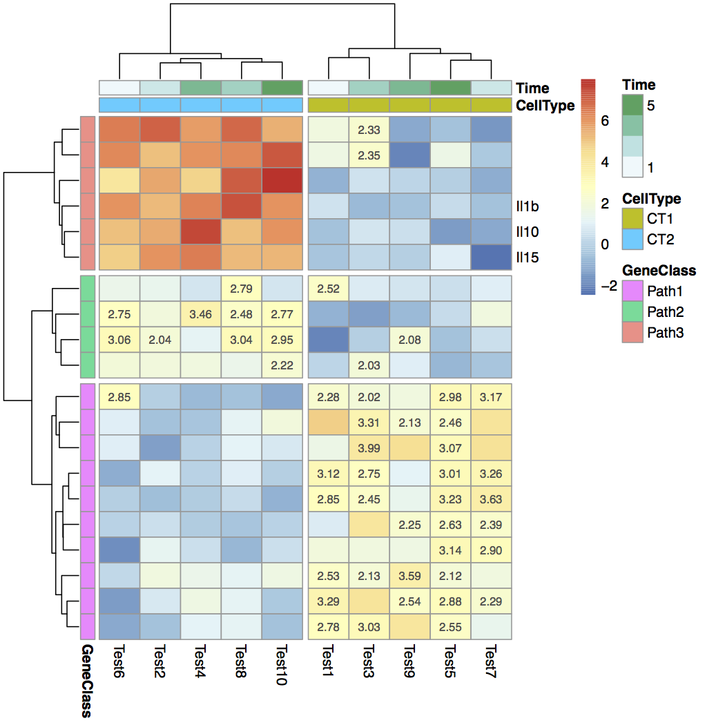 How to make a gene expression heatmap in R (that actually looks good ...
